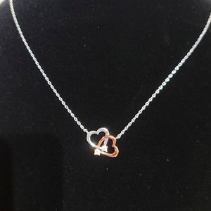 5/$22 NWT 2Tone Double Heart necklace